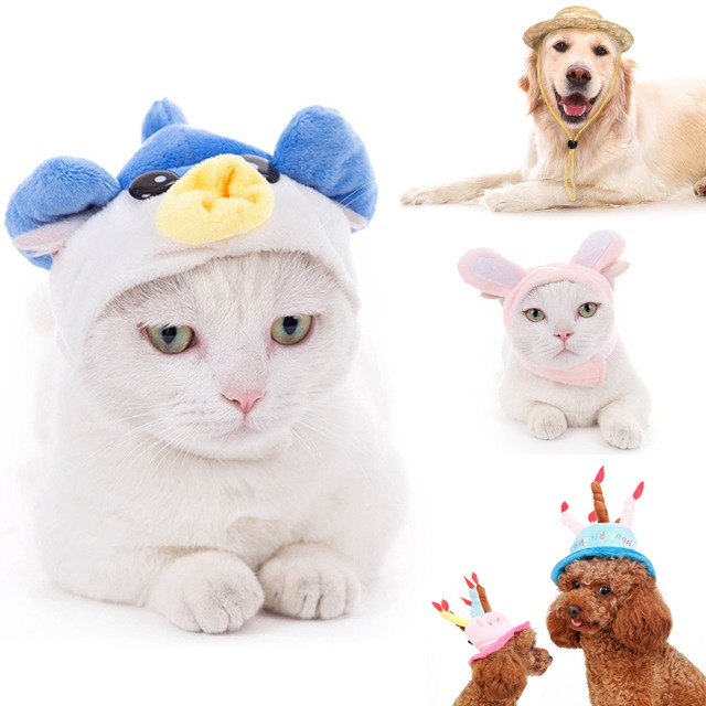 강아지 모자 썬캡 생일파티 고양이 밀짚모자 꼬깔 토끼모자 선캡 대형견