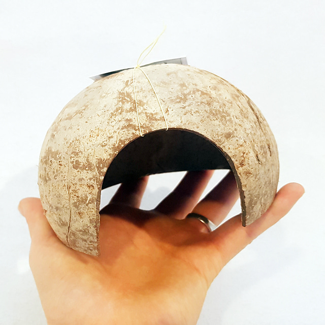 코코넛 은신처 소라게 도마뱀 소동물용 키우기 용품