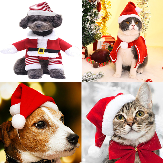 모아 강아지 산타옷 눈사람옷 크리스마스옷 고양이 옷 망토 크리스마스 산타 대형견 코스튬