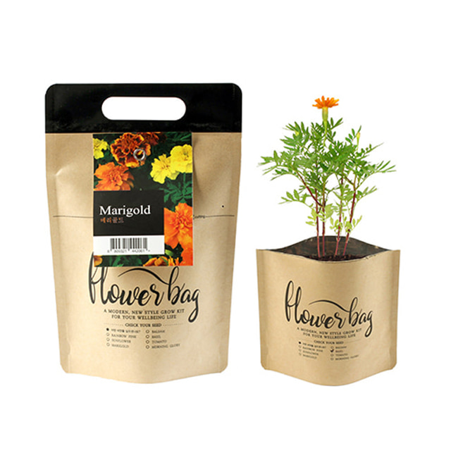 아이드림 작은 정원 식물키트 NEW 플라워백 - 금송화 메리골드 키우기 / 씨앗 모종 배양토 저면관수