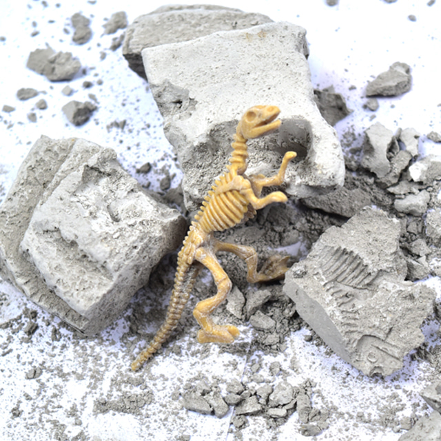공룡화석 발굴 키트 공룡 장난감 화석 캐기 티라노사우루스 트리케라톱스 피규어 모형 다이소